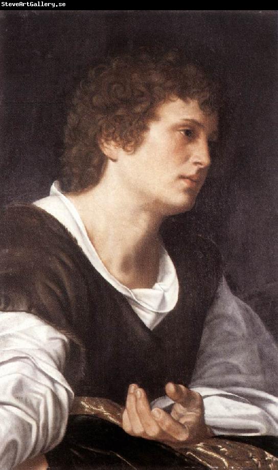 SAVOLDO, Giovanni Girolamo Bust of a Youth sg